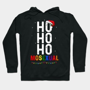 Ho Ho Ho Mosexual Gay Santa LGBT Pun Gay Pride Christmas Hoodie